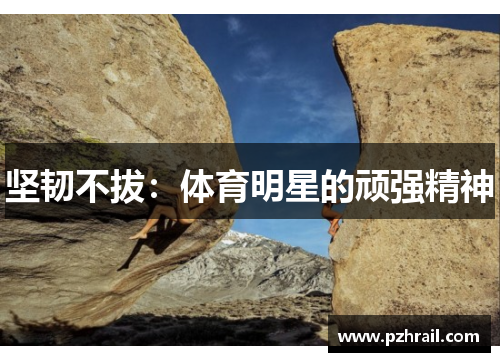 坚韧不拔：体育明星的顽强精神